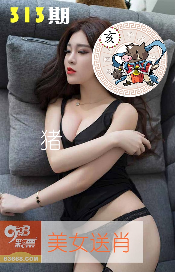 美女送肖 第313期