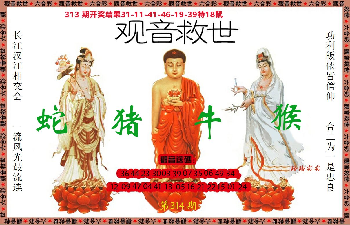 观音救世 第314期