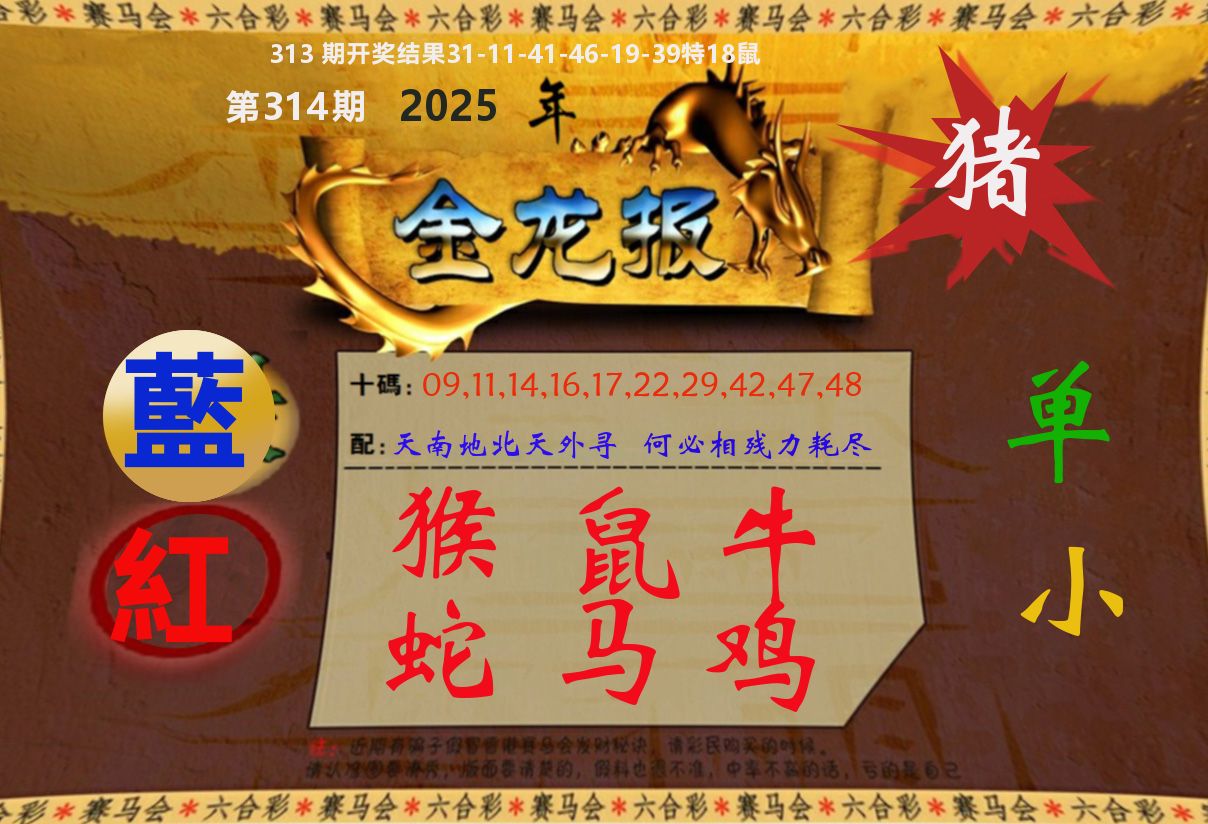 金龙报 第314期