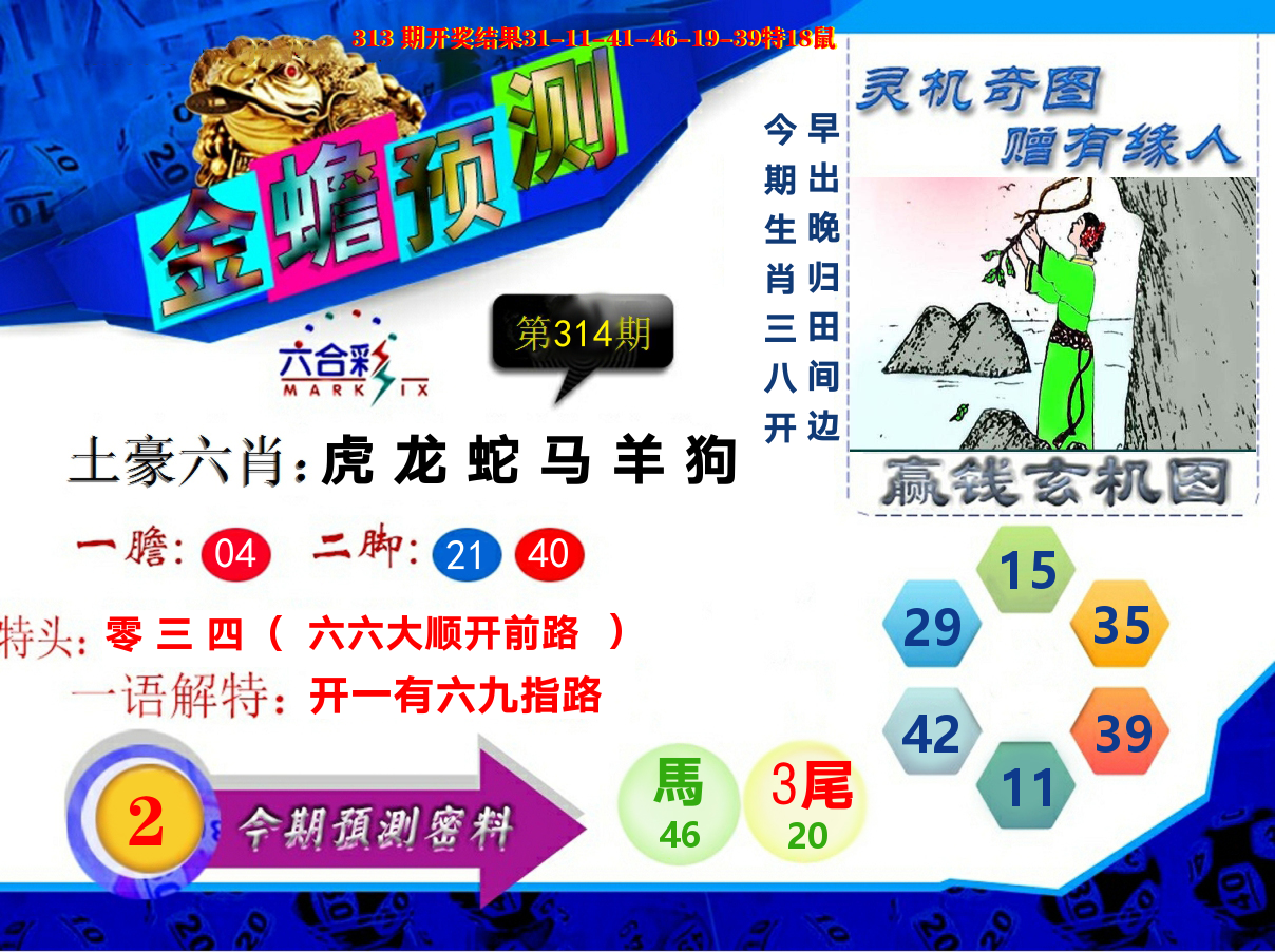 金蟾预测 第314期