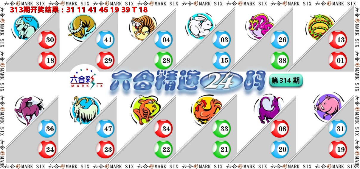 六合精选24码 第314期