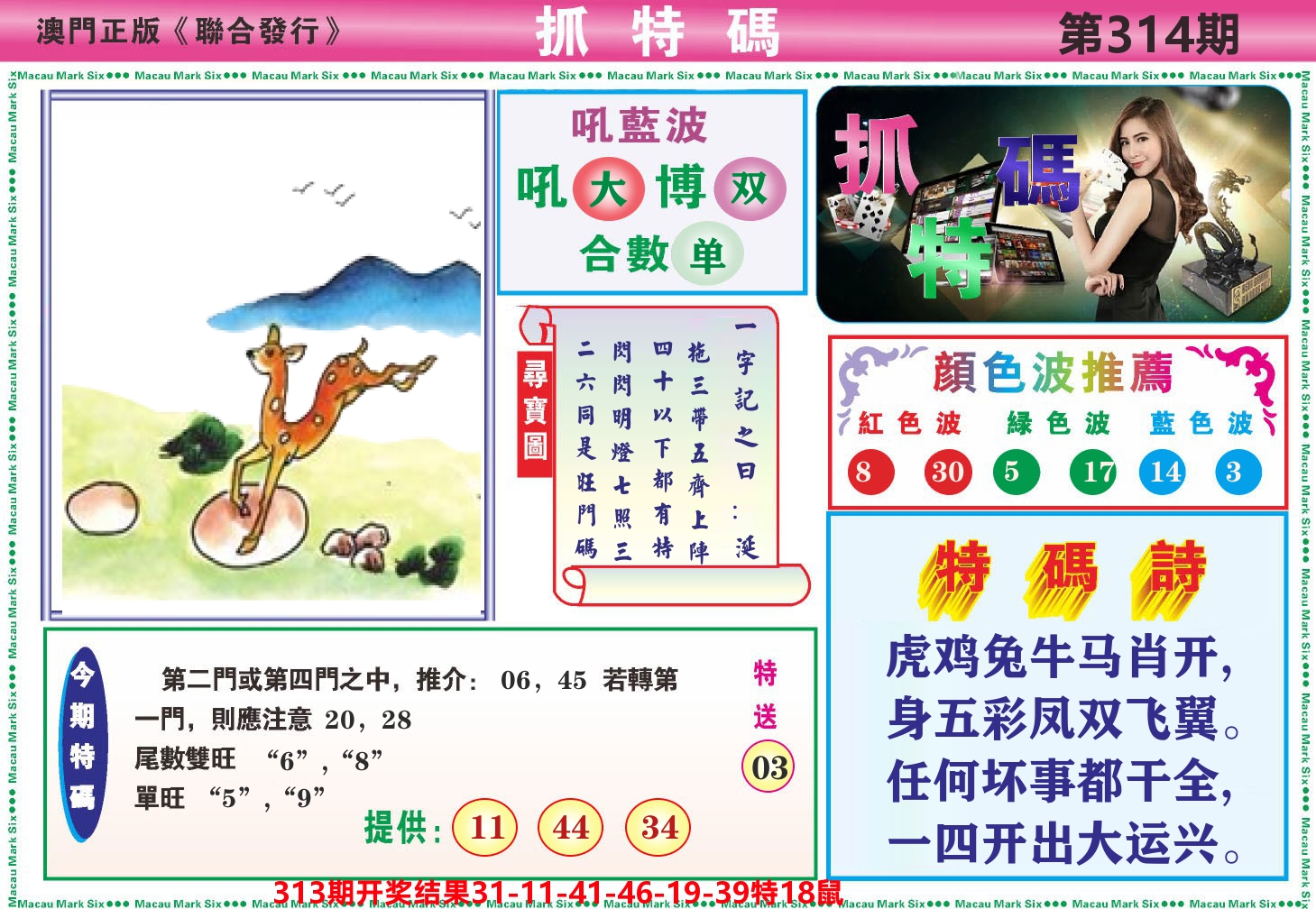 澳门抓特码A 第314期