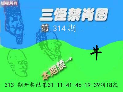 禁肖图《彩》 第314期
