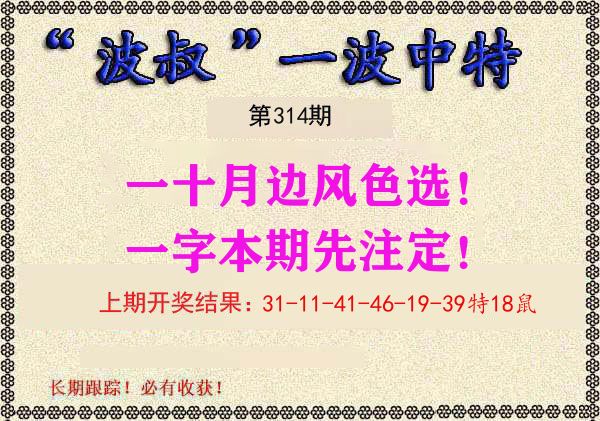 波叔中特 第314期