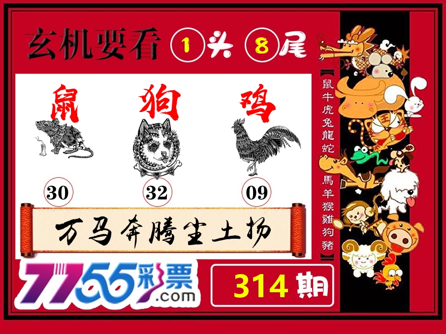玄机要看 第314期