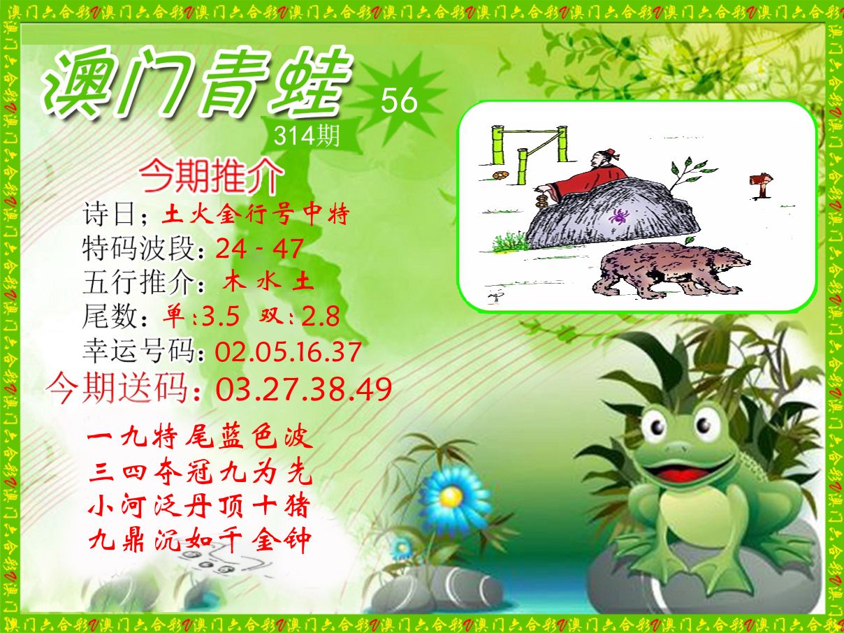 青蛙系列56 第314期