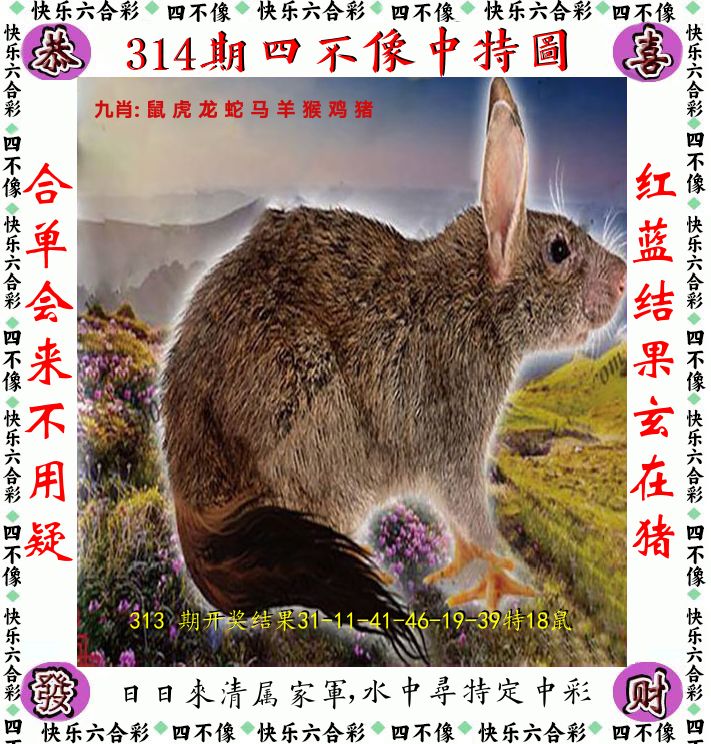 四不像 第314期