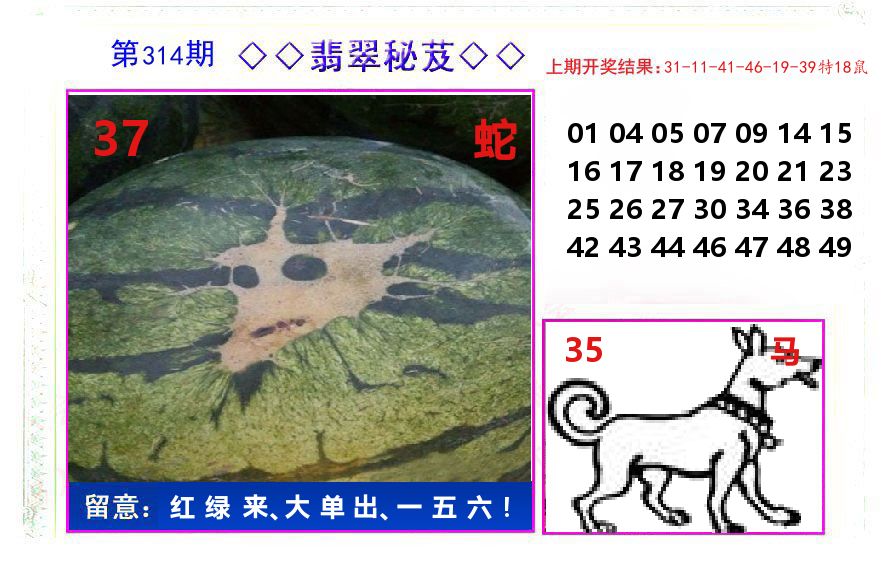 翡翠秘芨 第314期