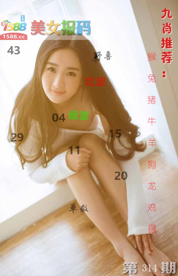 美女报码 第314期