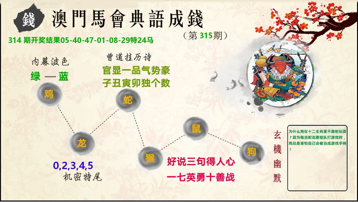 典语成钱 第315期