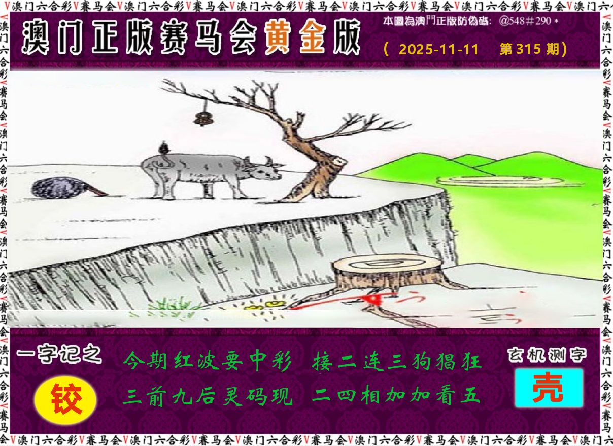 赛马会黄金版 第315期