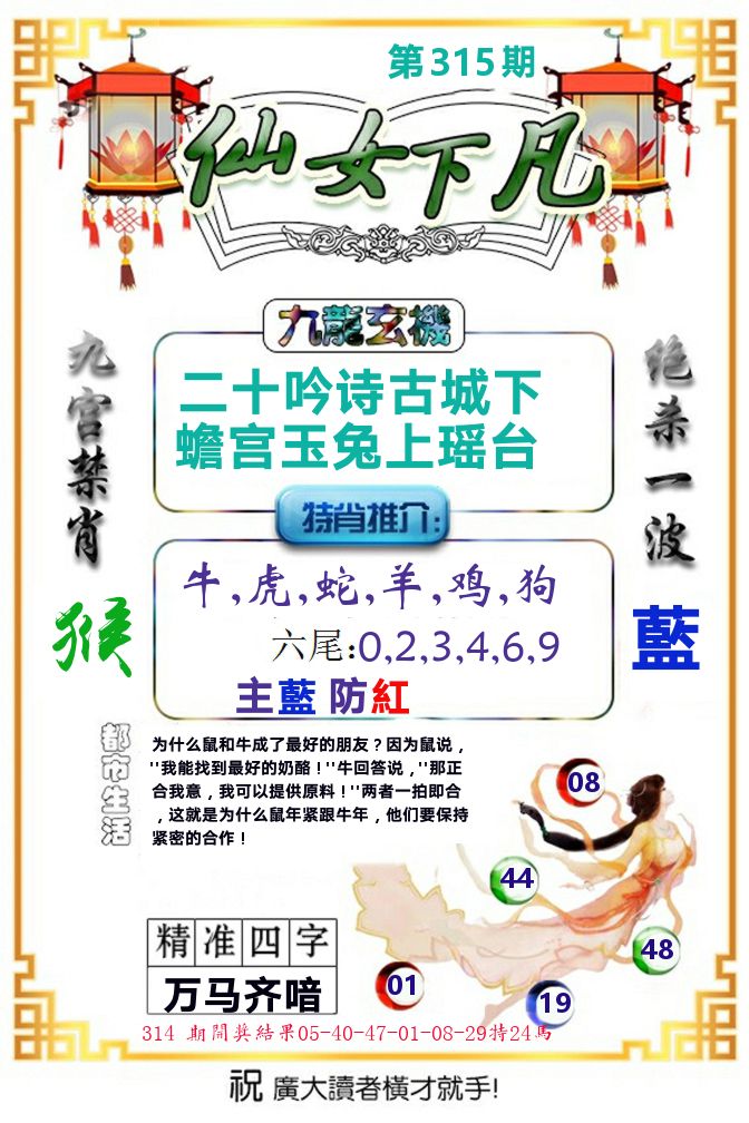 仙女下凡 第315期