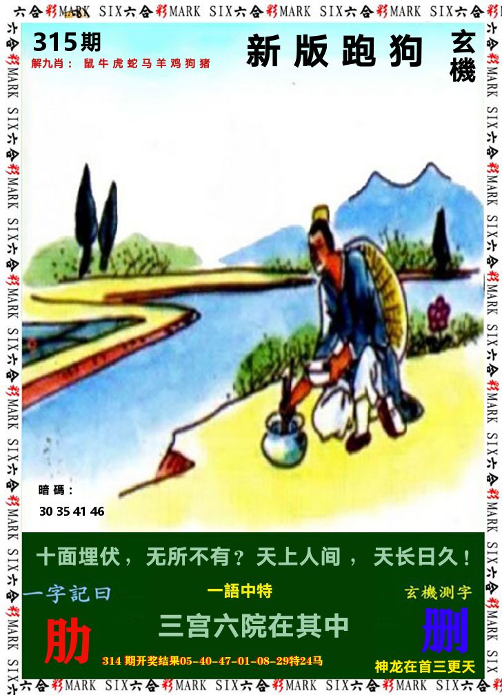 悟入其图 第315期