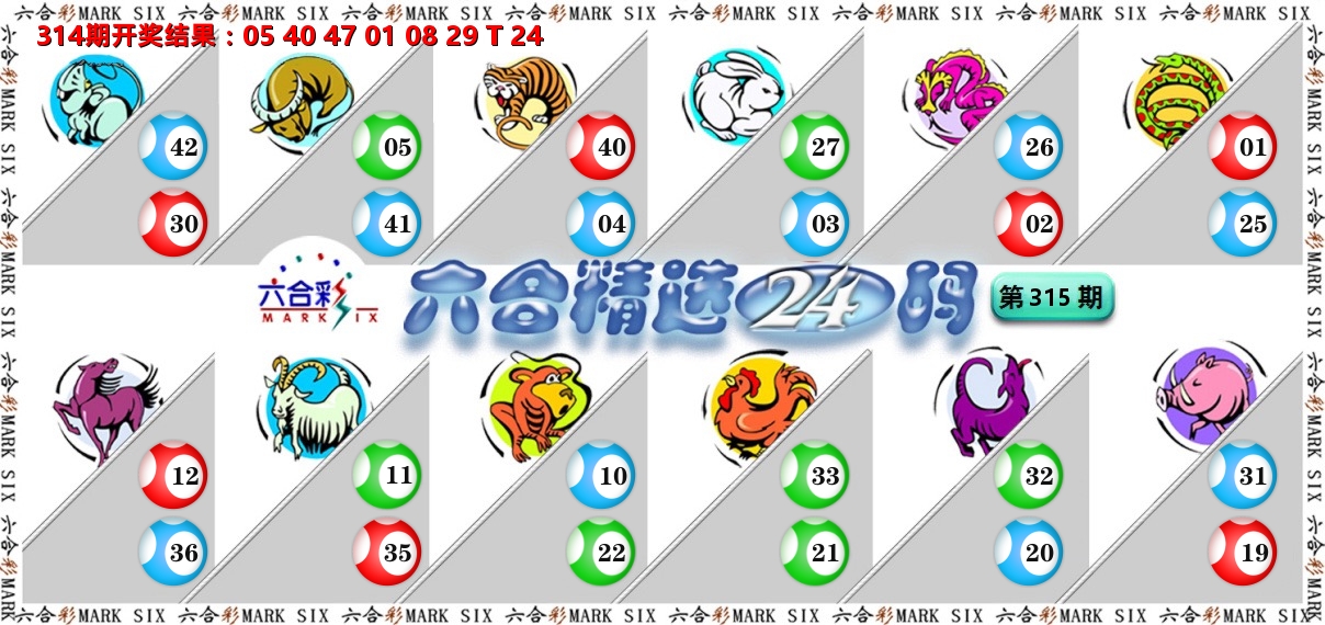 六合精选24码 第315期