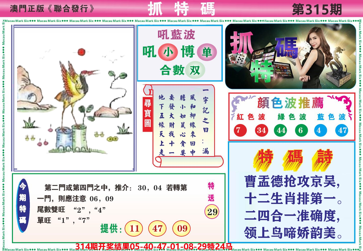 澳门抓特码A 第315期