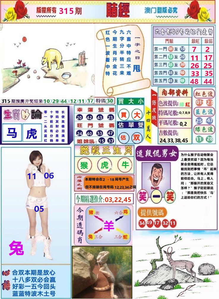 澳门赌经 第315期