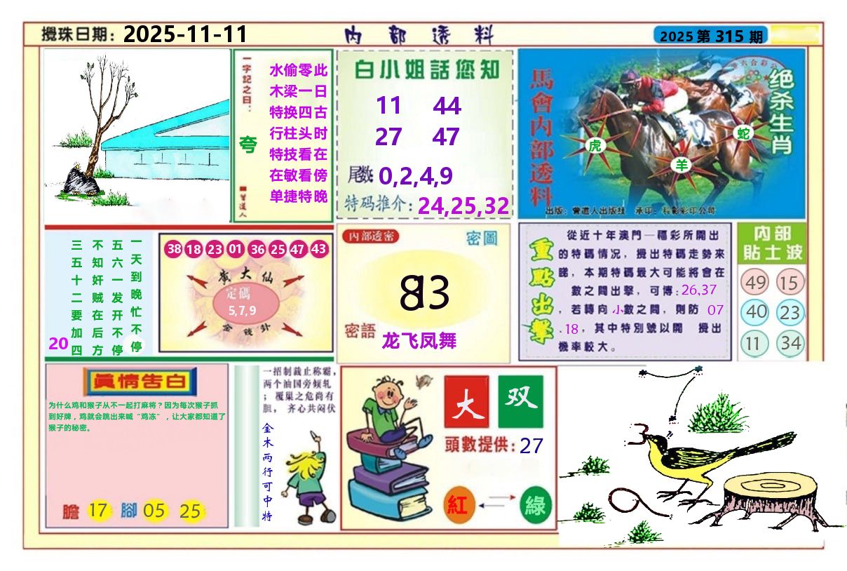澳门内部透料A 第315期