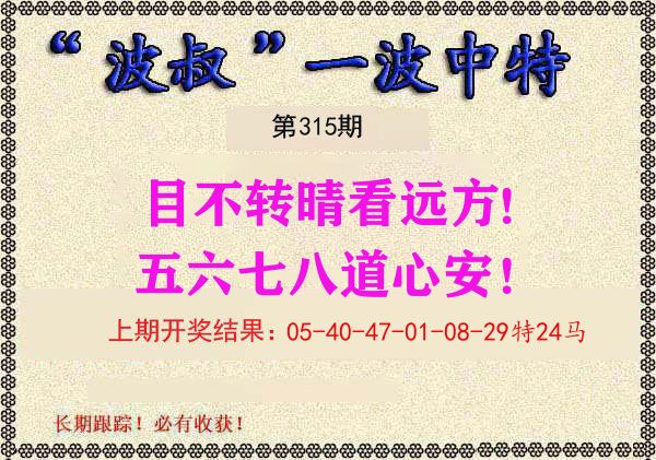 波叔中特 第315期