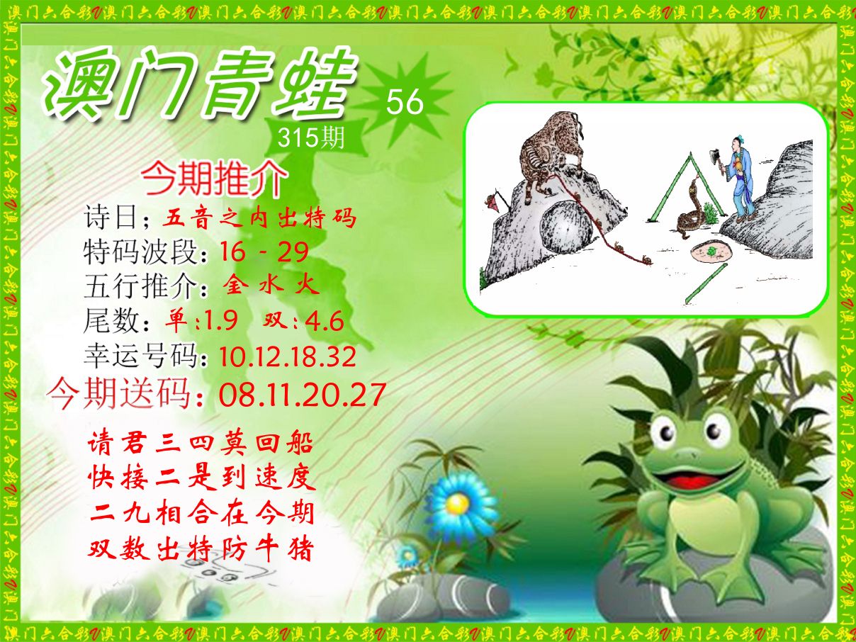 青蛙系列56 第315期