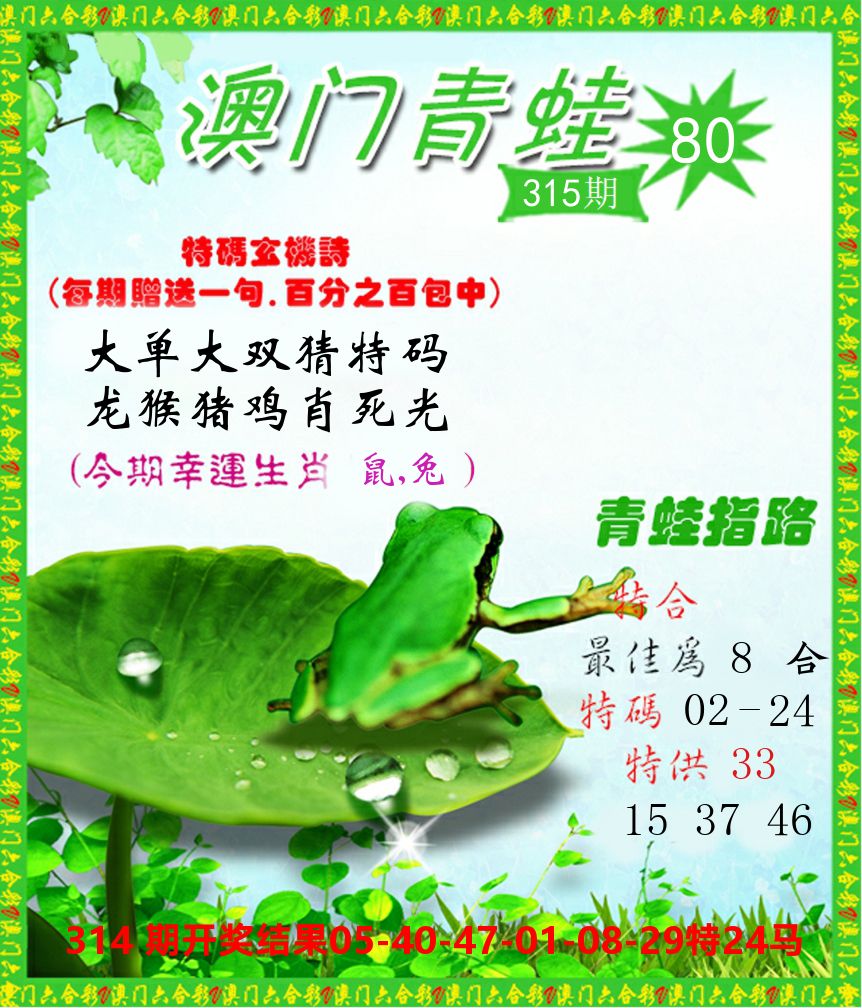 青蛙系列80 第315期