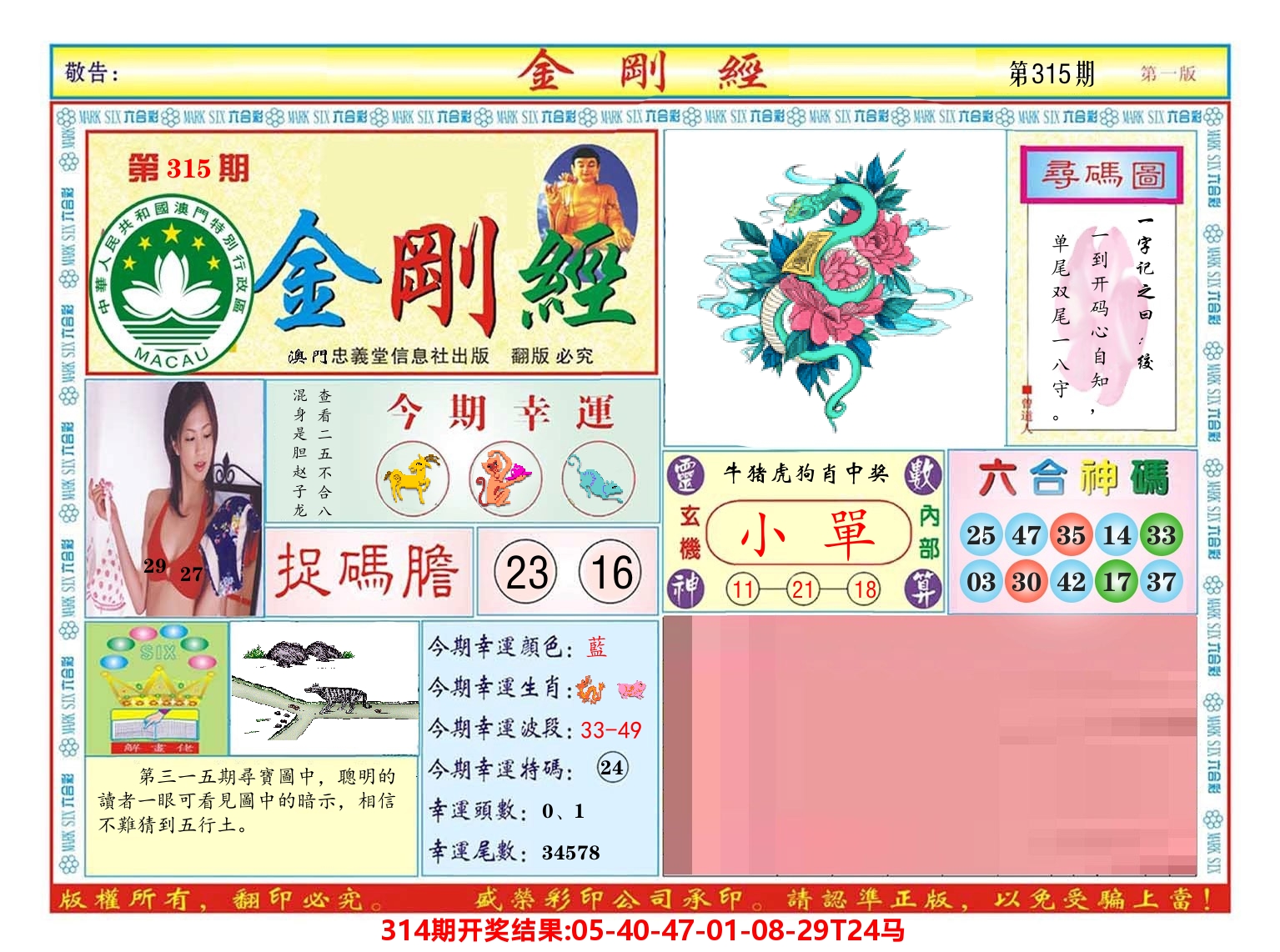 澳门金刚经 第315期