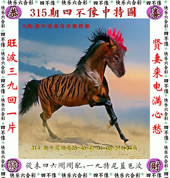 四不像 第315期