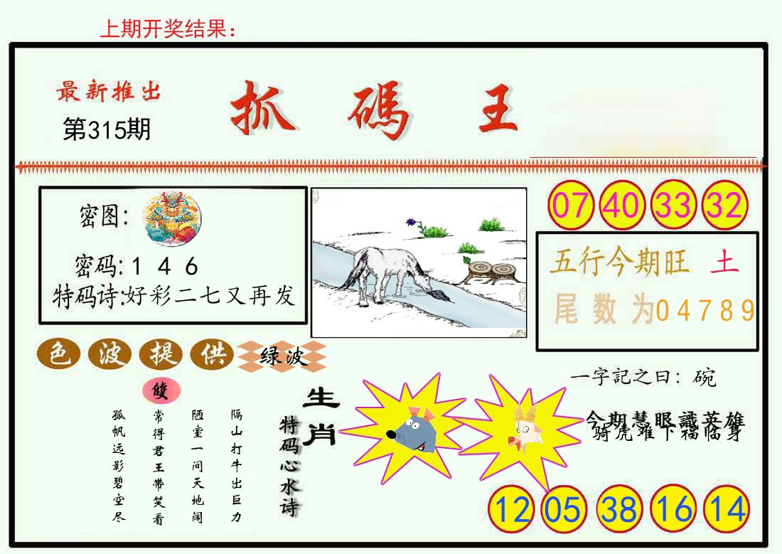 最新抓码王 第315期