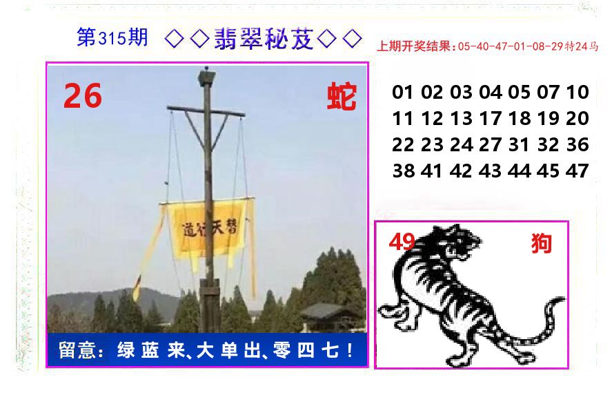 翡翠秘芨 第315期