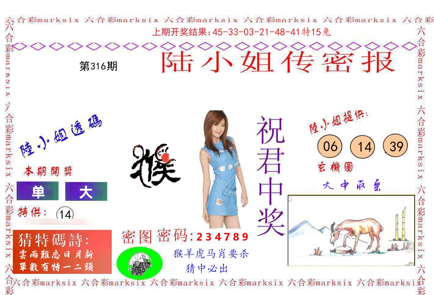 陆小姐密报 第316期