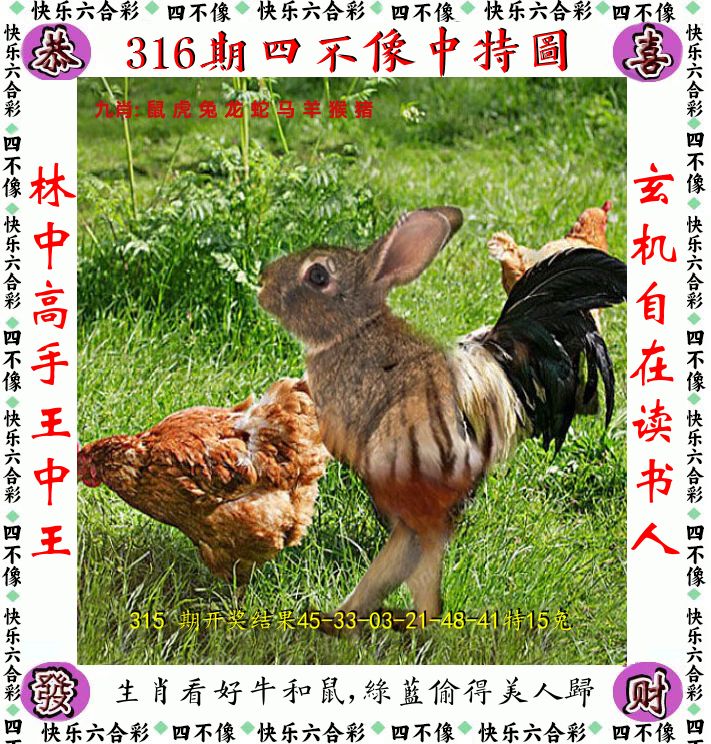 四不像 第316期