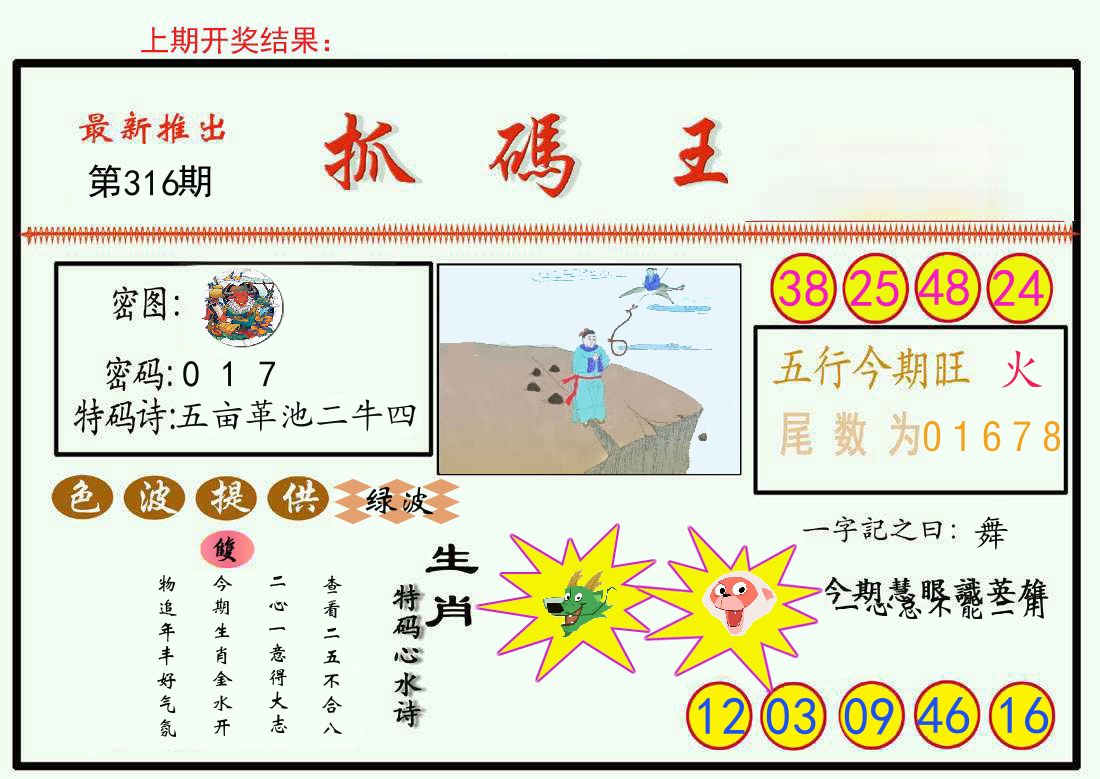 最新抓码王 第316期