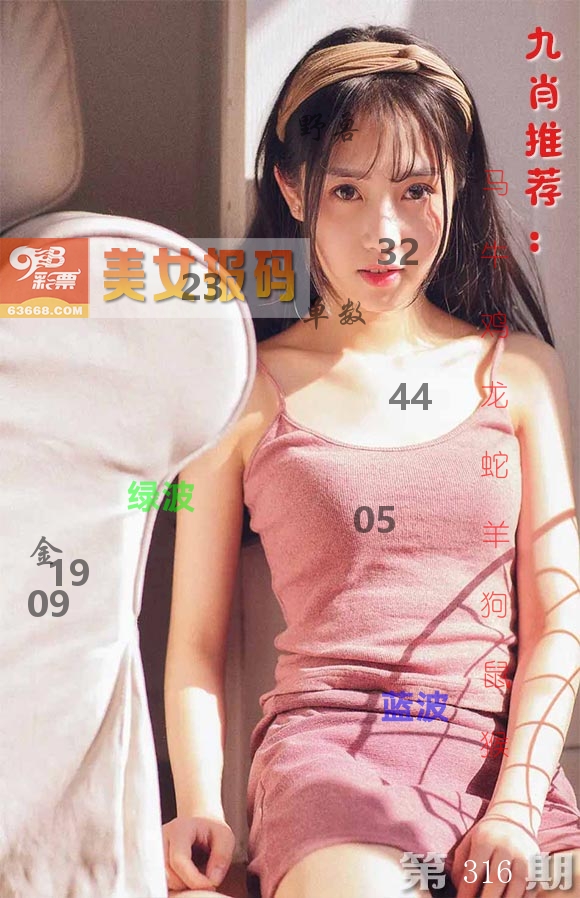 美女报码 第316期