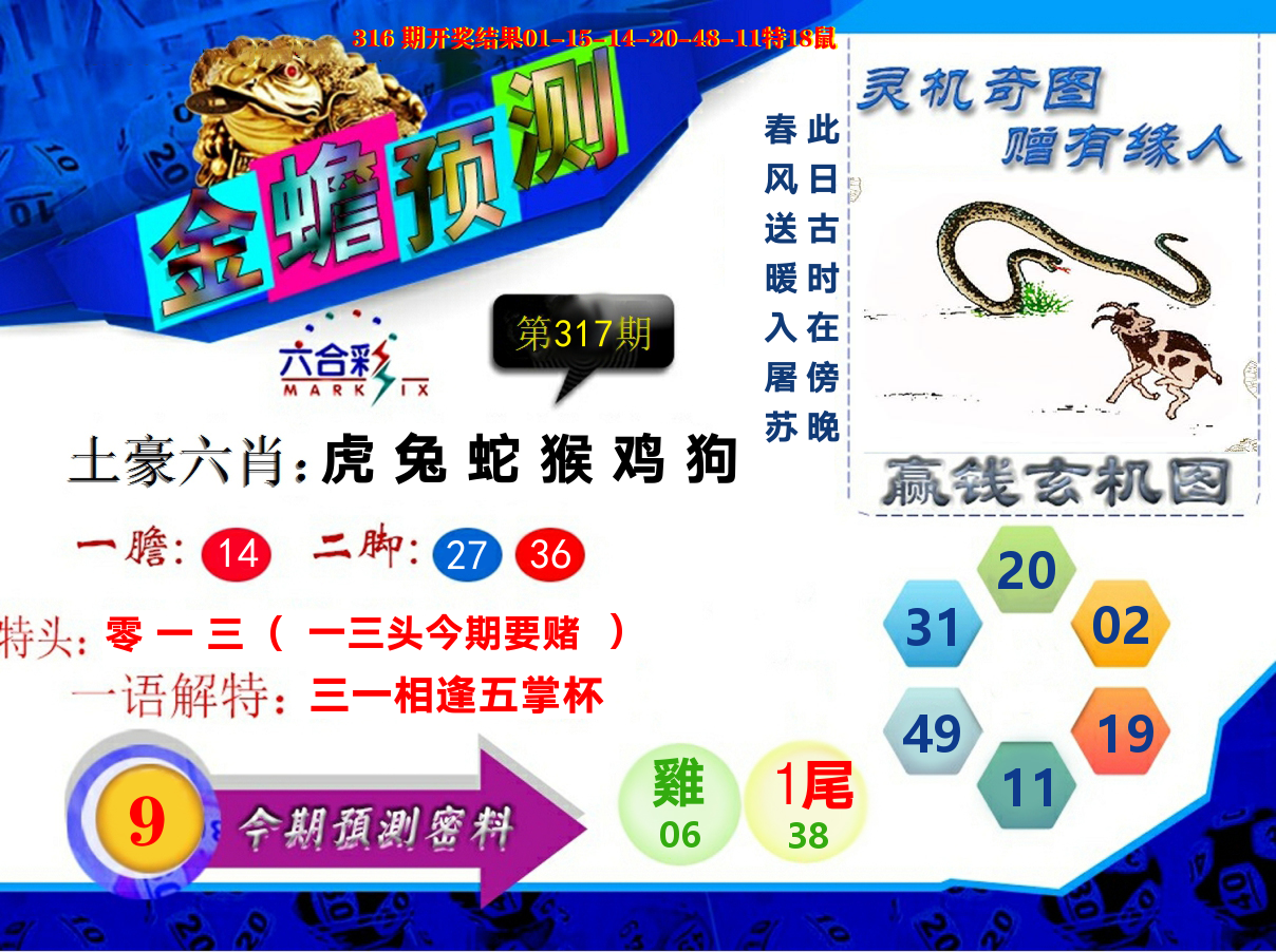 金蟾预测 第317期