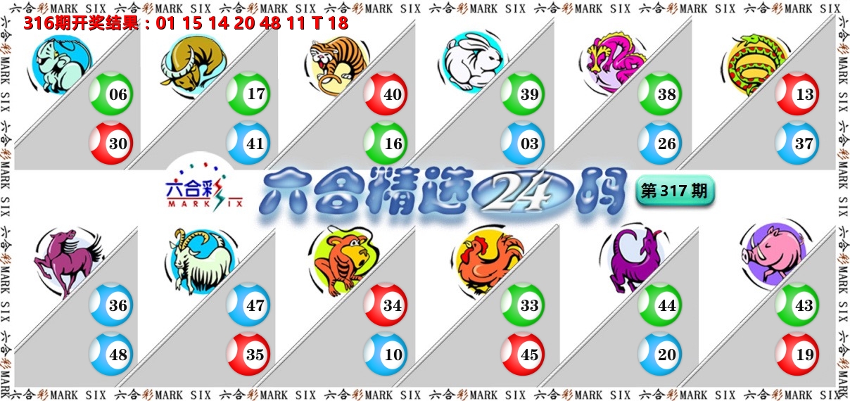 六合精选24码 第317期