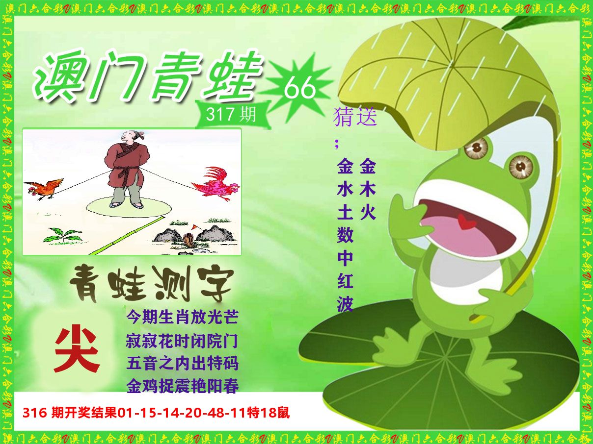 青蛙系列66 第317期