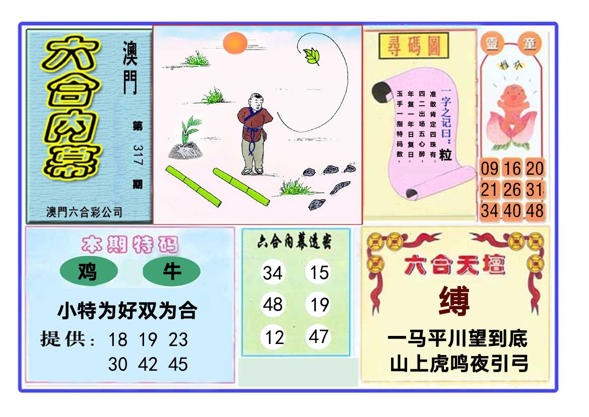 六合内幕 第317期