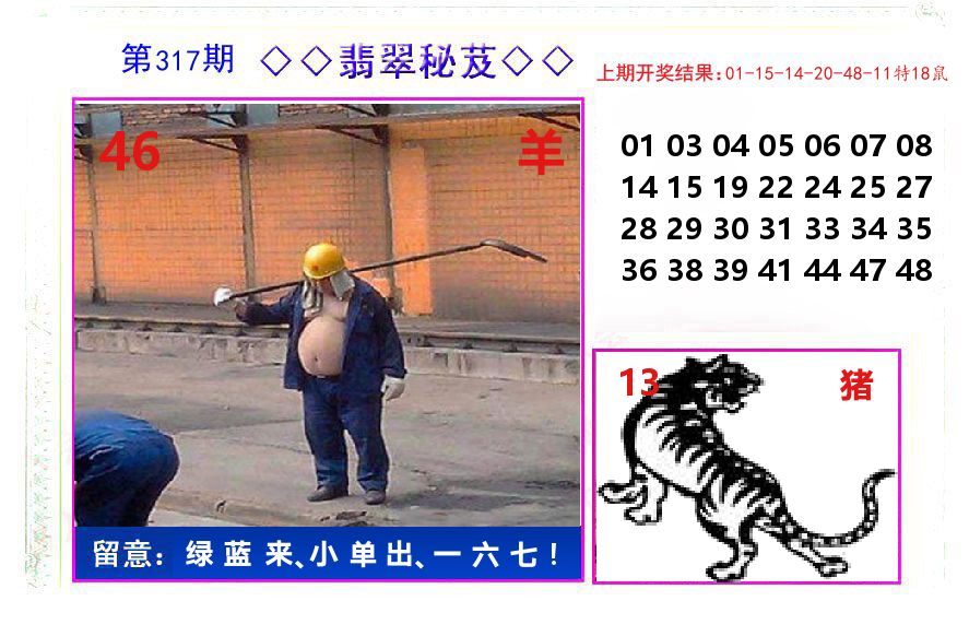 翡翠秘芨 第317期