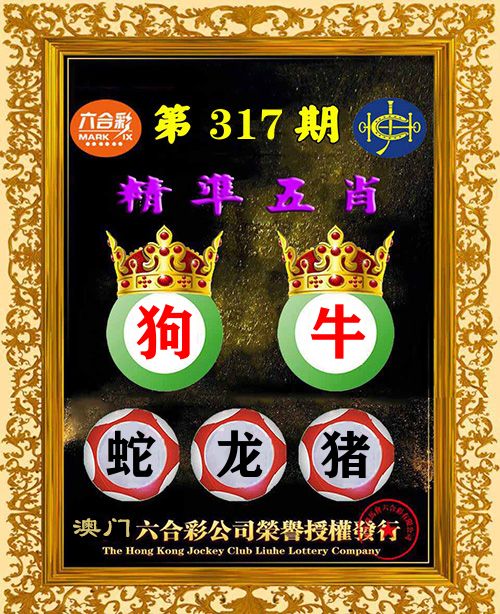 精准五肖 第317期