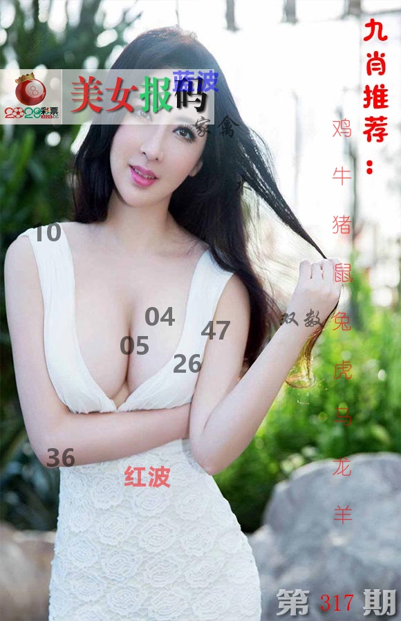 美女报码 第317期