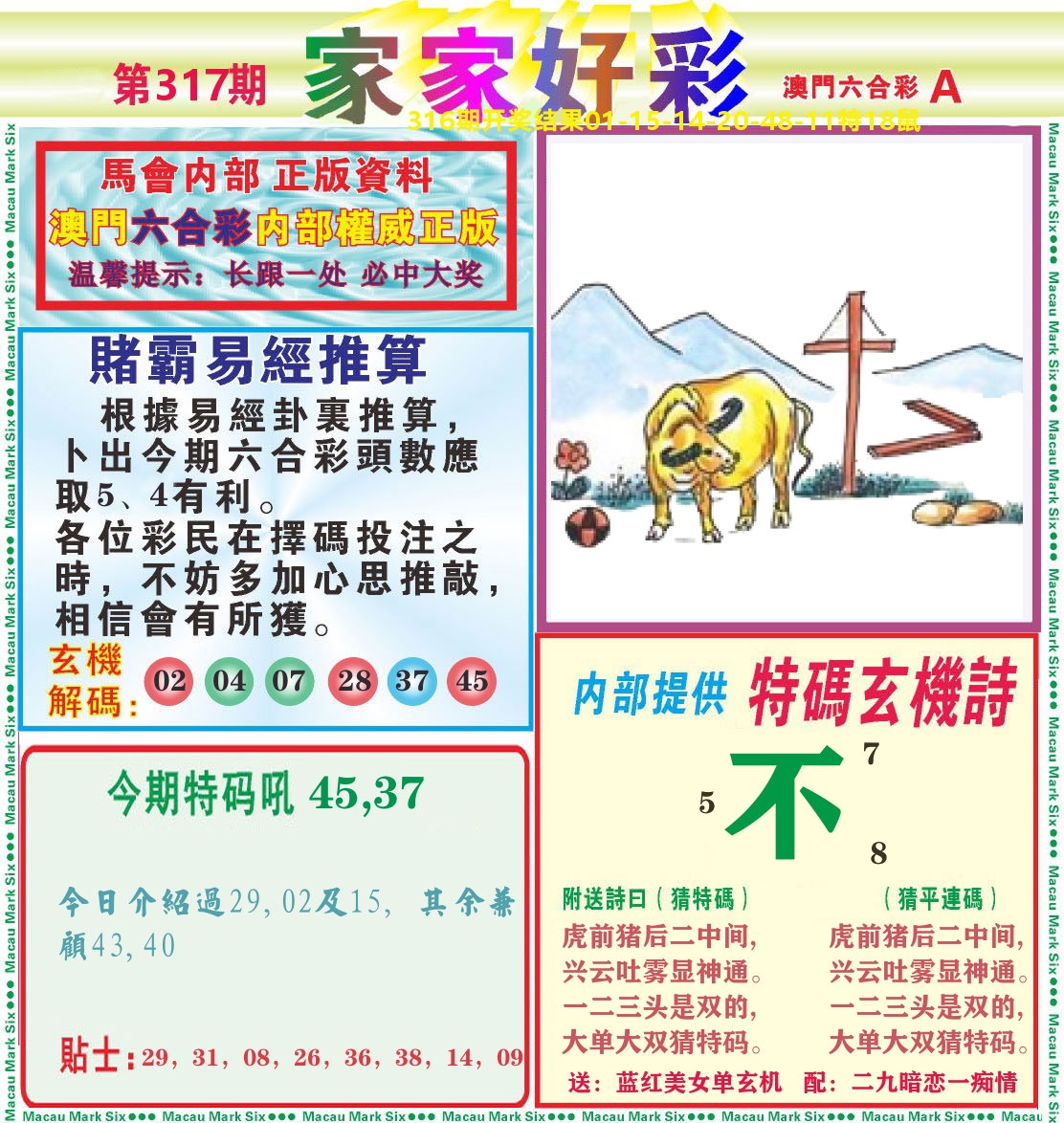 家家好彩A 第317期