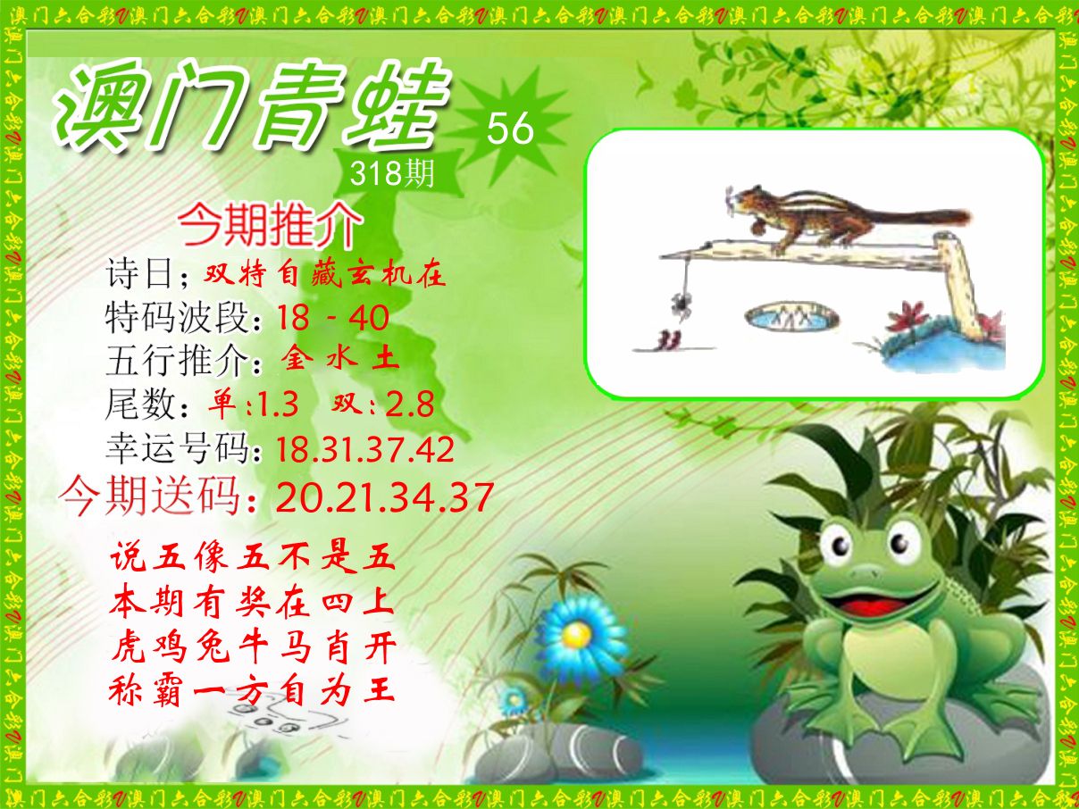 青蛙系列56 第318期