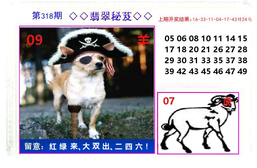 翡翠秘芨 第318期