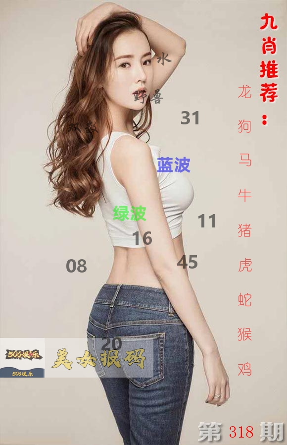 美女报码 第318期