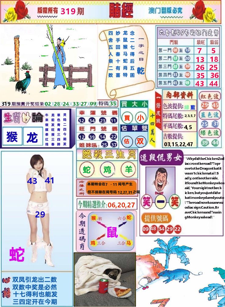 澳门赌经 第319期