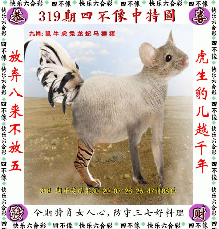 四不像 第319期