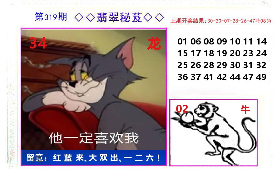 翡翠秘芨 第319期