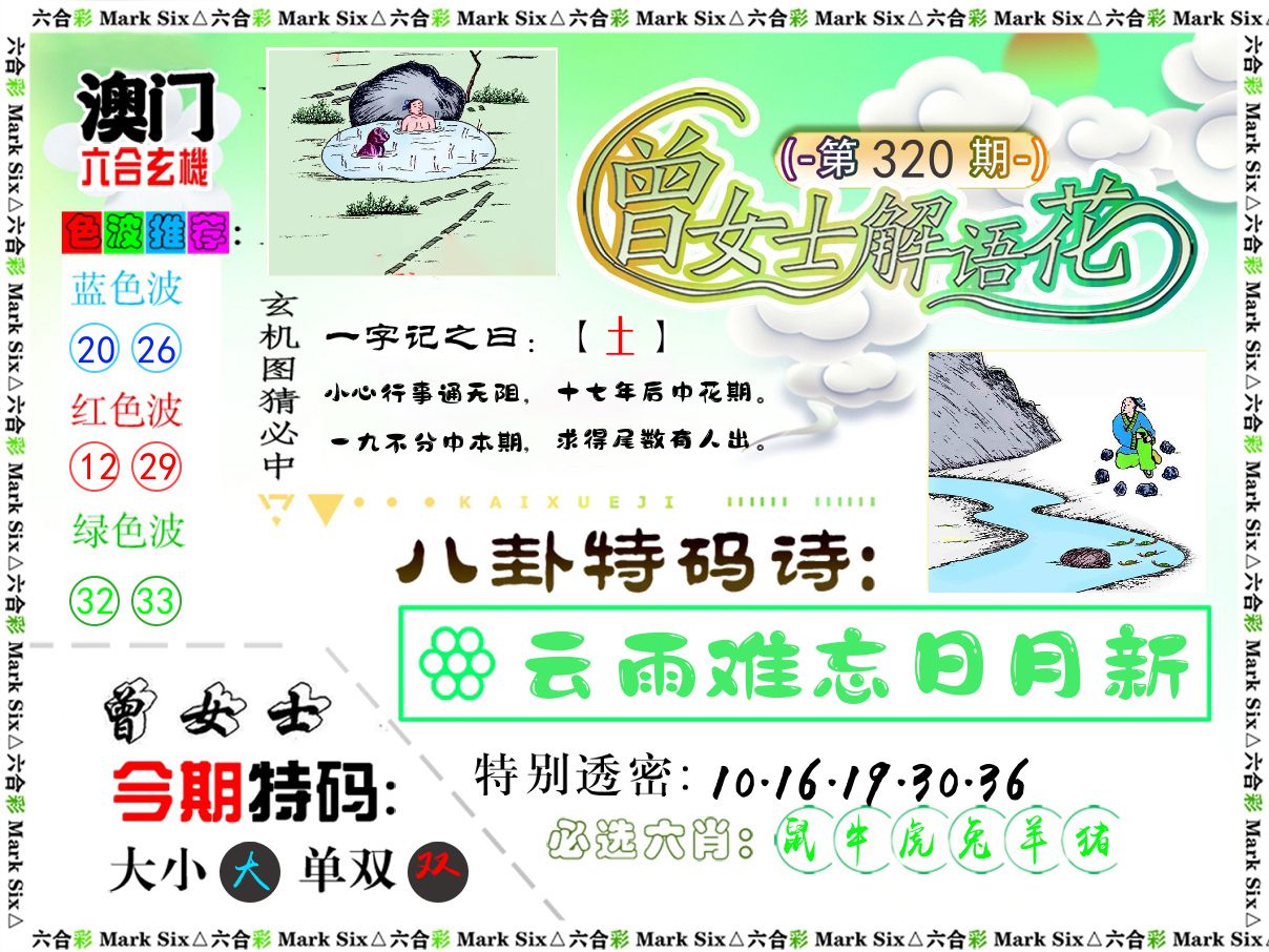 曾女士解语花 第320期