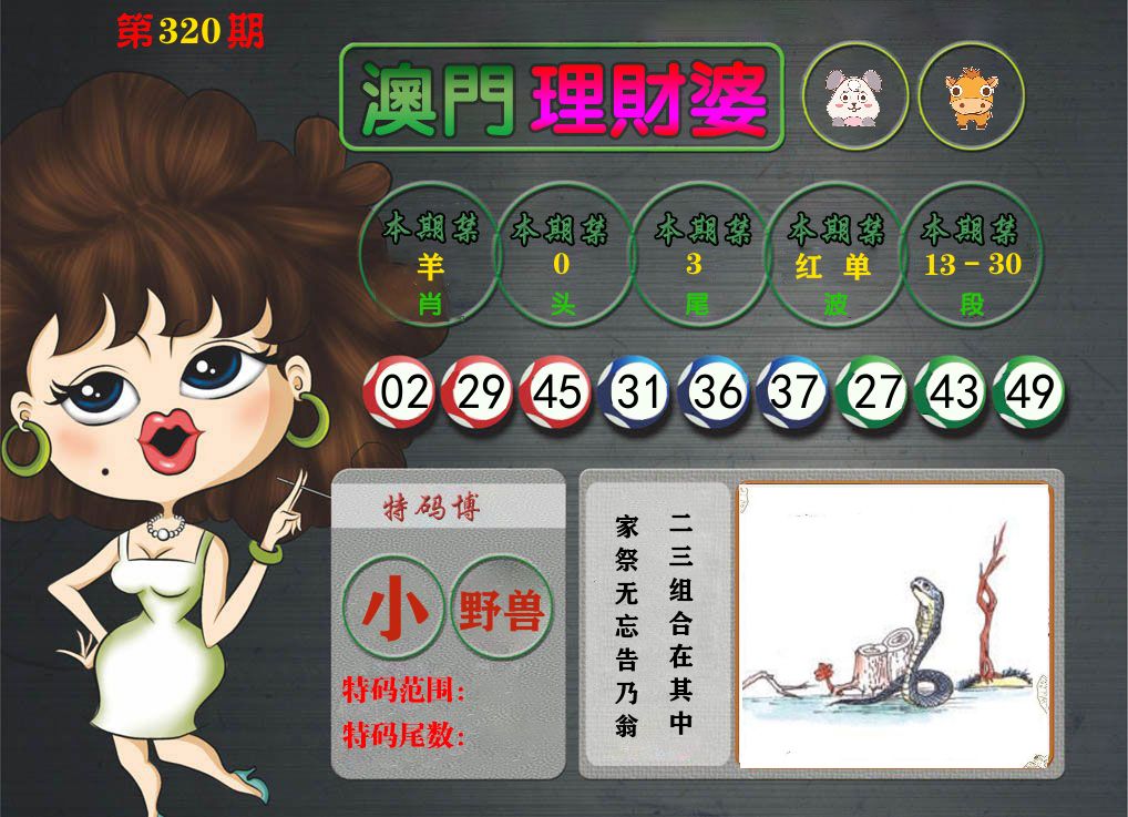 理财婆 第320期