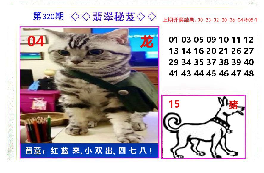 翡翠秘芨 第320期