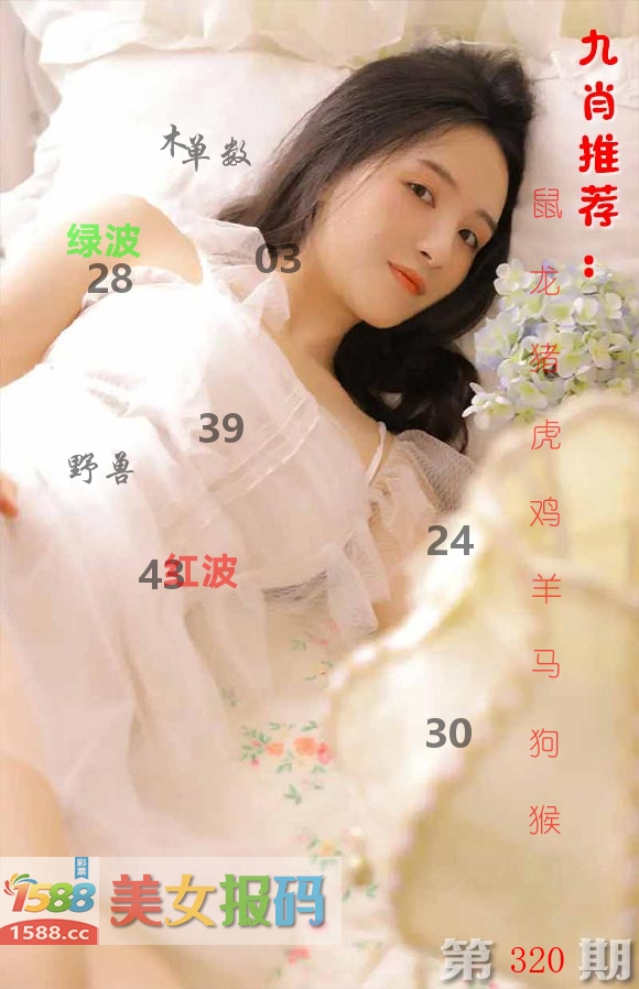 美女报码 第320期